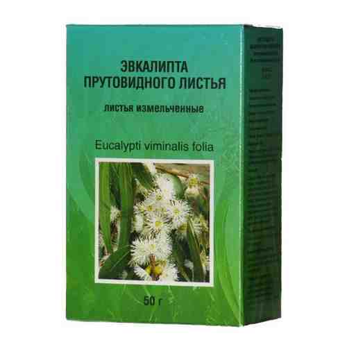 Эвкалипта прутовидного листья 50 гр пачка