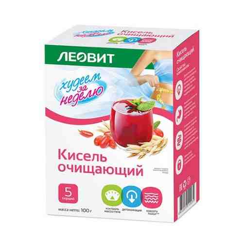 Леовит кисель очищающий 20 гр 5 шт. пак